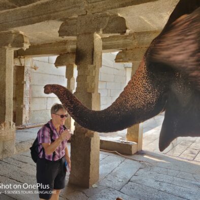 Indian Elephant, 5 senses tour in India