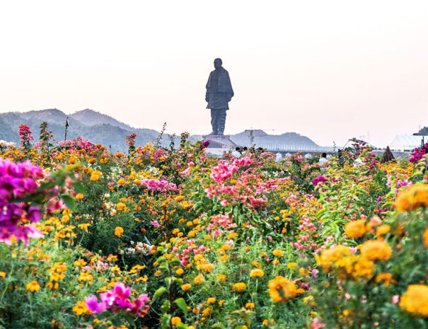 Valley of flowers. Statue of Unity tour