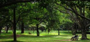 Cubbon Park, Bangalore tour by Metro