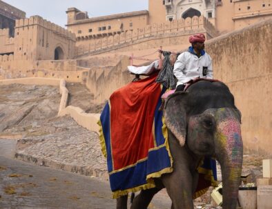 amber fort jaipur royal heritage golden triangle tour
