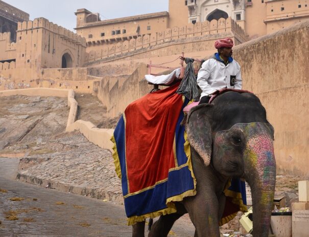 Amber fort, Jaipur tour