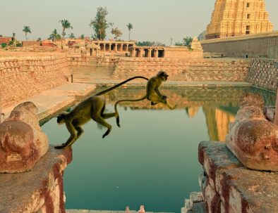 one day tour of Hampi