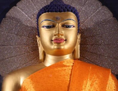 private and guided tour of Bodhgaya