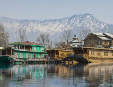 Srinagar tour