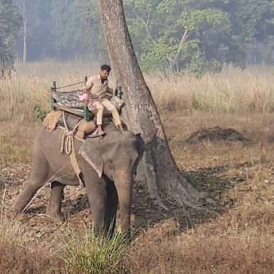 WhatsApp Image 2025-07-14 at 19.38.31 (2)