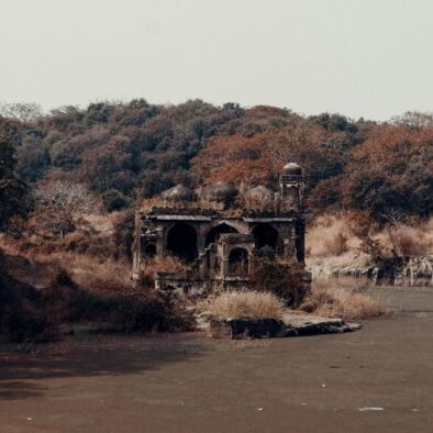 Ranthambore fort and wildlife tour