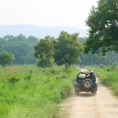 Jeep safari, 2 days tour of Jim Corbett National Park from Delhi