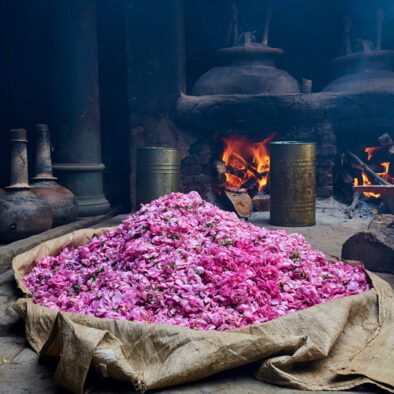 Kannauj Perfume Tour