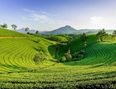 Darjeeling tour from kolkata