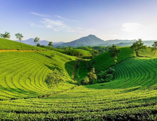 Darjeeling tour from kolkata