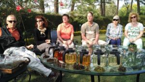 Tea tasting in Nilgiris