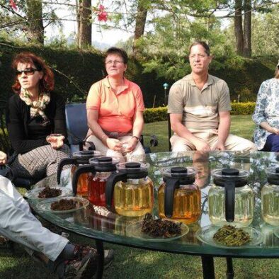 Tea tasting in Nilgiris