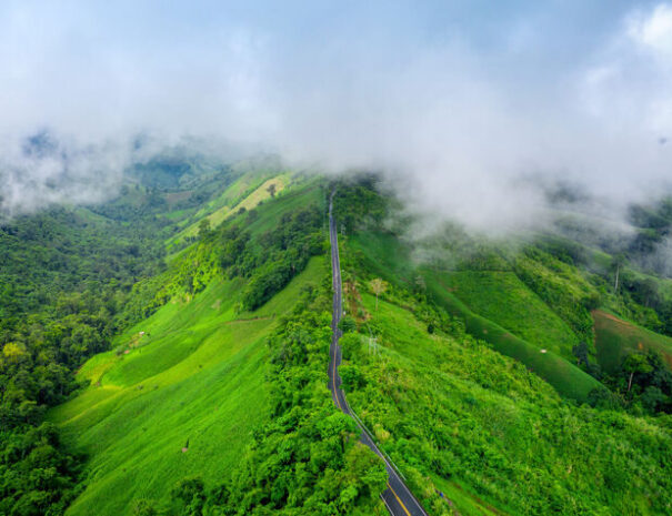 Chikmagalur coffee tour