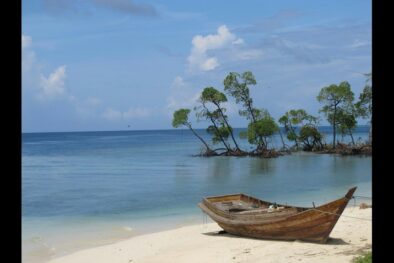 Full day tour of Port Blair