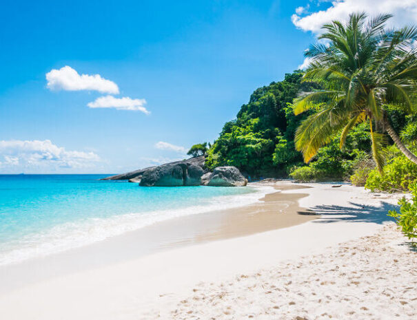 Havelock Island tour including Semi-submarine coral experience