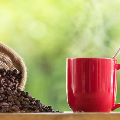 Chikmagalur coffee tour