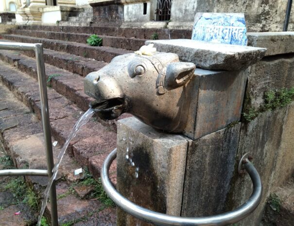 WhatsApp Image 2025-12-14 at 11.07.45