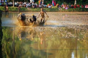 Kambala and Coastal karnataka tour