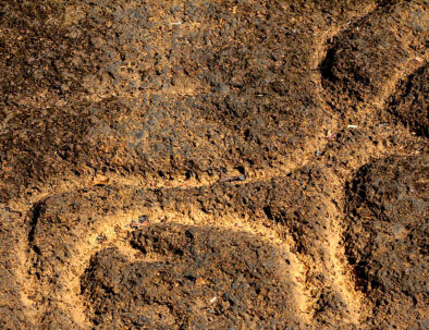 Tour of Usgalimal, Rivon Caves and Netravati Lake