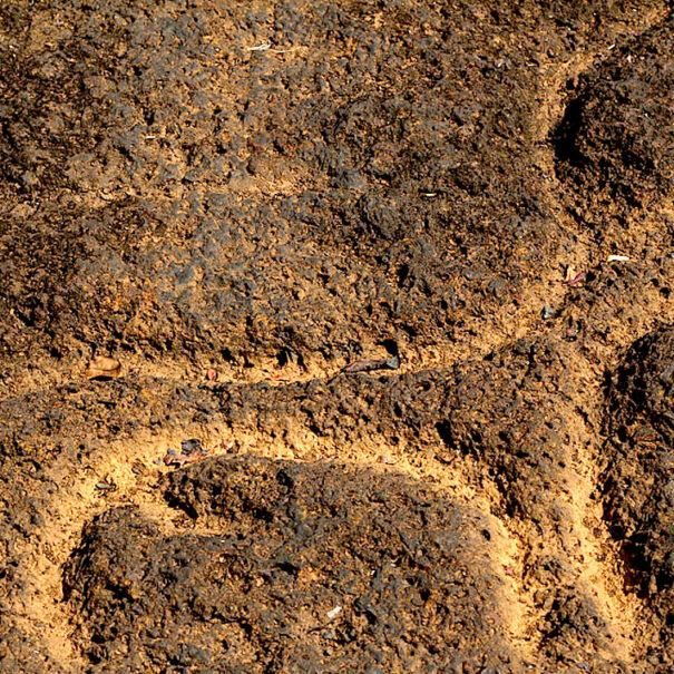 Tour of Usgalimal, Rivon Caves and Netravati Lake