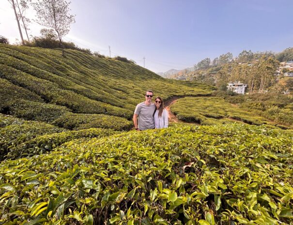 Munnar tour from Kochi
