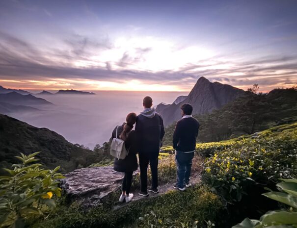 Munnar tour from Kochi