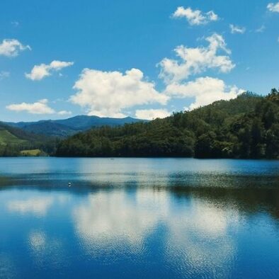 Munnar tour from Kochi