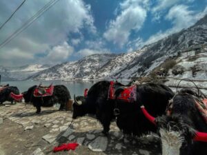 sikkim travel guide