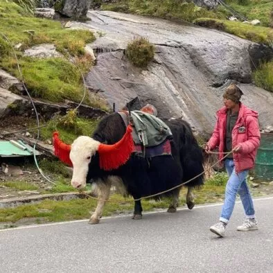 sikkim farm stay tour from Kolkata