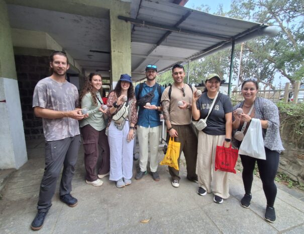 small group Mysore tour from Bangalore