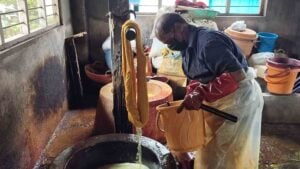 Udupi cotton weaving yarn dyeing vat Talipady Karnataka dye worker yellow thread hand dyeing